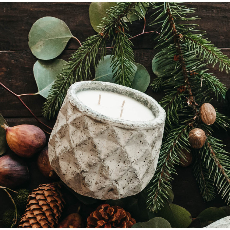 TLC Candle Co. Pillow Talk Luxury 3Wick Concrete Candle Wayfair.ca